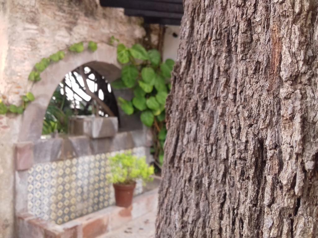 Hotel & Spa Dona Urraca San Miguel De Allende Extérieur photo